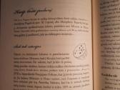 Moters biblija - nuotraukos Nr. 3