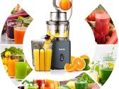 Lėtaeigė sulčiaspaudė - nuotraukos Nr. 3