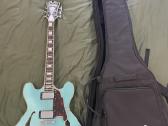 Elektrinė gitara Dangelico Premier Dc Oc Stopbar