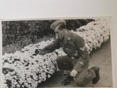 Ww2 orginalios nuotraukos - nuotraukos Nr. 3