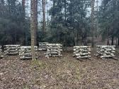 Shiitake grybai. Auginimas, rąstelių paruošimas, - nuotraukos Nr. 9