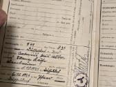 Vokiška knyga 12 Ahnenpass - nuotraukos Nr. 8