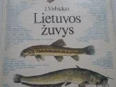 Knygos moterims. Ru, Lt - nuotraukos Nr. 12
