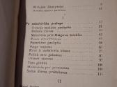 Maršas jaunystei - nuotraukos Nr. 5