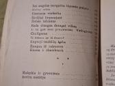 Maršas jaunystei - nuotraukos Nr. 6