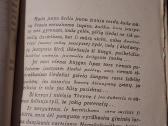 Maršas jaunystei - nuotraukos Nr. 7