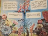 Zoologijos skaitiniai - nuotraukos Nr. 4