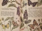 Zoologijos skaitiniai - nuotraukos Nr. 5