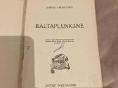 Andriulionis Baltaplunksnė 1937 m. - nuotraukos Nr. 3