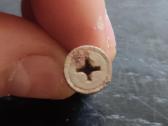 23vnt medsraigčiai.ilgis 3cm,galvutės skersmuo 9mm - nuotraukos Nr. 2