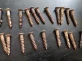 23vnt medsraigčiai.ilgis 3cm,galvutės skersmuo 9mm - nuotraukos Nr. 3
