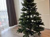 Kalėdinė eglutė 155 cm aukščio - nuotraukos Nr. 3