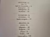 Sugrįžimas savyje kitur - nuotraukos Nr. 3