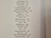 Sugrįžimas savyje kitur - nuotraukos Nr. 6