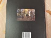 Sugrįžimas savyje kitur - nuotraukos Nr. 8