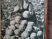 1953-1954m. Tarybinė Moteris žurnalai - nuotraukos Nr. 13
