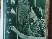 1953-1954m. Tarybinė Moteris žurnalai - nuotraukos Nr. 14