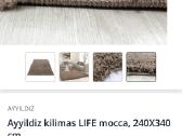 Naujas kilimas - nuotraukos Nr. 3