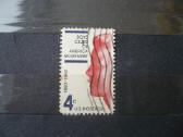 1960 m. Amerikos judėjimo berniukų klubai