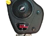 Briggs & Stratton traktoriukų varikliai - nuotraukos Nr. 8