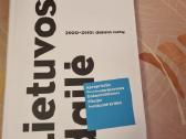 Lietuvos dailė 2000 - 2010 m