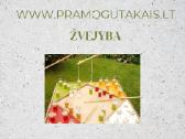 Mobilaus kubilo nuoma. Irklentės.žaidimai - nuotraukos Nr. 10