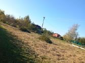 Malkų pjovimas, skaldymas, žolės pjovimas - nuotraukos Nr. 19
