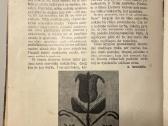Knygos Sodžiaus menas 678 dalys - nuotraukos Nr. 7
