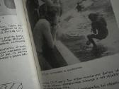 Fotografijos vadovas - nuotraukos Nr. 4