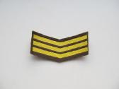 Antsiuvas , 3 kursas sausumos pajėgos CcCCCP