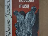 V.jasukaitytė-po mūsų nebebus mūsų (1987)