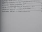 Tautiškos giesmės kelias į tautą - nuotraukos Nr. 3