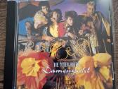 Die Toten Hosen - rock CD albumų kolekcija - nuotraukos Nr. 23