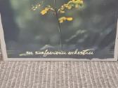 Visi nauji lp.su muzikantu autografais - nuotraukos Nr. 5
