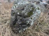 Rinktiniai lauko akmenys, rieduliai , kompozicijos - nuotraukos Nr. 17