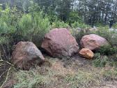 Rinktiniai lauko akmenys, rieduliai , kompozicijos - nuotraukos Nr. 24