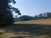 Žemės sklypas - nuotraukos Nr. 8