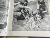 Baranausko fotografijų knyga , Vaikų pasaulis,1982 - nuotraukos Nr. 2