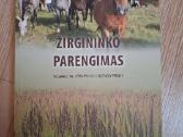 Žirgininko parengimas
