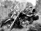 Yamaha Xvs (Drag Star) - nuotraukos Nr. 7