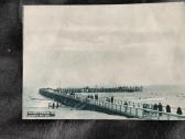 Palanga 31 Atvirukai nuotraukos kolekcija - nuotraukos Nr. 13