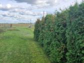 Parduodame 120,71m2 gyvenamąjį namą su 4h sklypu - nuotraukos Nr. 6