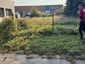 Žemės frezavimas, vejos įrengimas,skarifikavimas - nuotraukos Nr. 11