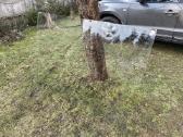 2 Dideli grūdinti stiklai - nuotraukos Nr. 2