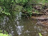 Parduodu žemės ūkio paskirties sklypą - nuotraukos Nr. 3