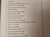 Praktiniai stebuklai Marsui ir Venerai - nuotraukos Nr. 3