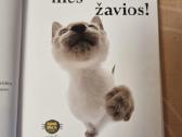 Pripažinkit : mes - žavios ! - nuotraukos Nr. 2