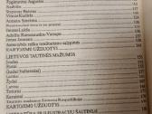 Lietuvos istorijos problemos 12 kl - nuotraukos Nr. 4