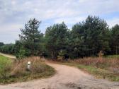 Pušys išsikasimui yra ir eglių - nuotraukos Nr. 2