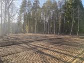Kelmų, Krūmų Frezavimas, Apleistų plotų tvarkymas - nuotraukos Nr. 7